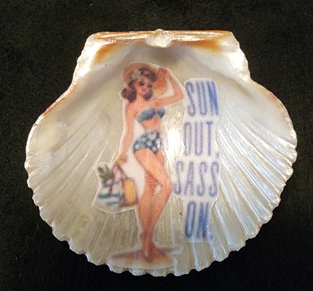 Retro Charm Seashell Magnets