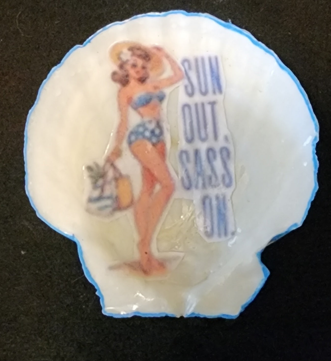 Retro Charm Seashell Magnets
